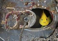 /album/fotogaleria-galeria/fotos-prezi-comprimidas-32-jpg1/